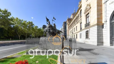 Apartment at Paseo de Zorrilla, 48 photo 3