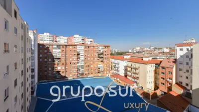 Apartment at Paseo de Zorrilla, 48 photo 55
