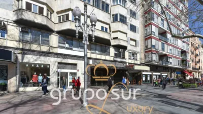 Apartment at Paseo de Zorrilla, 48 photo 5