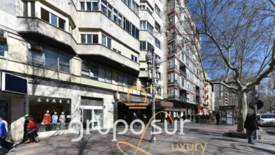 Apartment at Paseo de Zorrilla, 48 photo 92