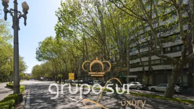 Apartment at Paseo de Zorrilla, 48 photo 94