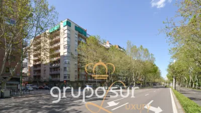 Apartment at Paseo de Zorrilla, 48 photo 95