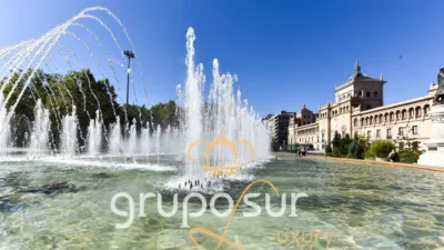 Apartment at Paseo de Zorrilla, 48 photo 98