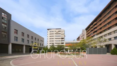 Apartment in Plaza de Juan de Austria, no number photo 7