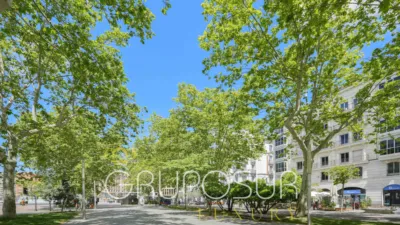 Apartment on Calle Miguel Iscar, 1 photo 47