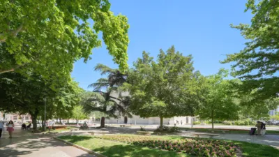 Apartment in Plaza del Colegio de Santa Cruz, 1 photo 42