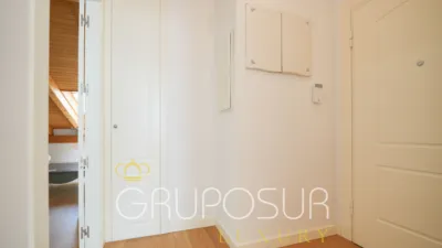 Flat on Calle de la Pasión photo 17