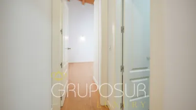 Flat on Calle de la Pasión photo 40