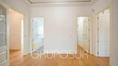 Flat on Calle de la Pasión photo 38