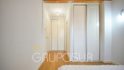 Flat on Calle de la Pasión photo 65