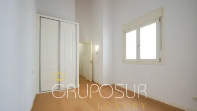 Flat on Calle de la Pasión photo 48