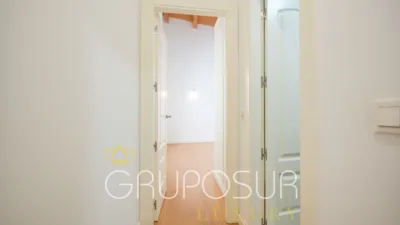 Flat on Calle de la Pasión photo 45