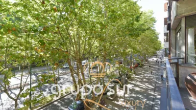 Apartment on Paseo de Zorrilla, 16 photo 25