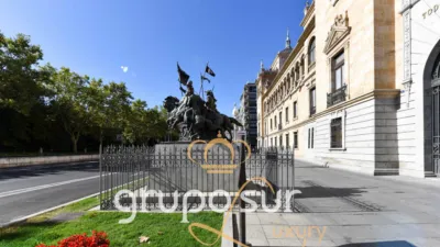 Apartment on Paseo de Zorrilla, 16 photo 2