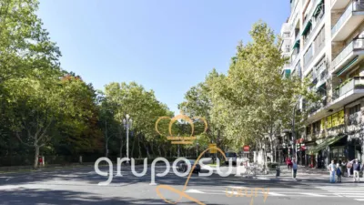 Apartment on Paseo de Zorrilla, 16 photo 3