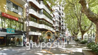 Apartment on Paseo de Zorrilla, 16 photo 4