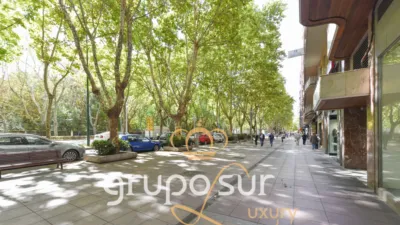 Apartment on Paseo de Zorrilla, 16 photo 5