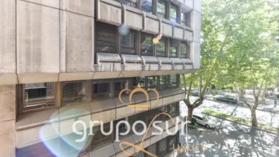 Apartment on Paseo de Zorrilla, 16 photo 61
