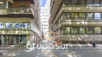 Apartment on Paseo de Zorrilla, 16 photo 90