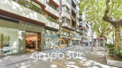 Apartment on Paseo de Zorrilla, 16 photo 96
