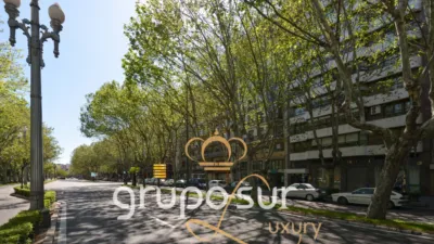 Apartment on Paseo de Zorrilla, 16 photo 97