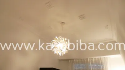 Apartment on Carrer de Guillem de Castro photo 17