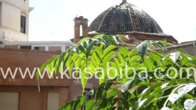 Apartment on Carrer de Guillem de Castro photo 22
