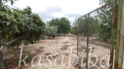 Rustic Finca in Polígono 9 and Parcela photo 29
