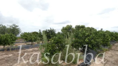 Rustic Finca in Polígono 9 and Parcela photo 11