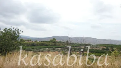 Rustic Finca in Polígono 9 and Parcela photo 39