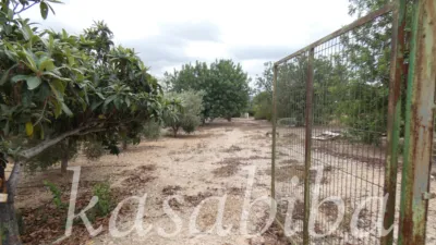 Rustic Finca in Polígono 9 and Parcela photo 42