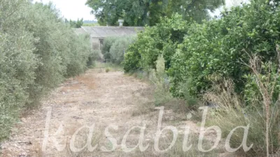Rustic Finca in Polígono 9 and Parcela photo 2