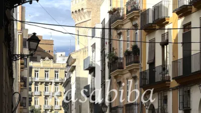 Apartment on Carrer de Murillo photo 9