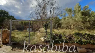 Rustic house in Andilla photo 9