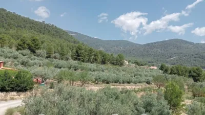 Rustic house in Andilla photo 14