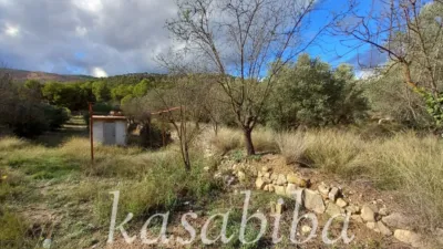 Rustic house in Andilla photo 10
