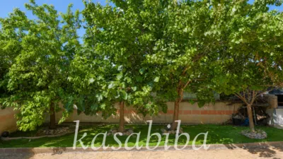 Detached house on Calle Diputación photo 39