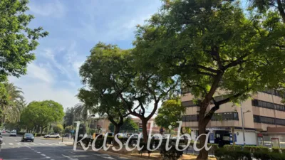 Apartment on Carrer de Ramon Llull photo 38