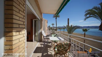 Apartment on Paseo de Francisco Martínez Muñoz photo 33