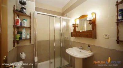 Apartment on Paseo de Francisco Martínez Muñoz photo 8