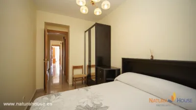 Apartment on Paseo de Francisco Martínez Muñoz photo 28