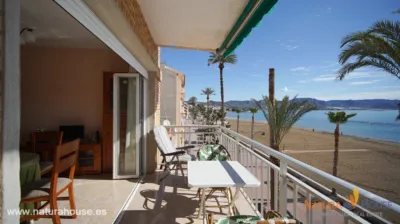 Apartment on Paseo de Francisco Martínez Muñoz photo 2