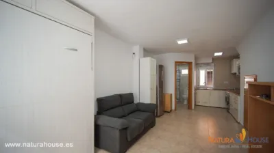 Studio in Calle de Pensamientos-Playasol 1 photo 3
