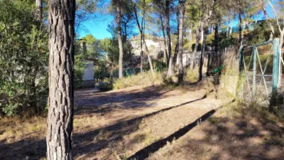 House on Carrer dels Manyans photo 59