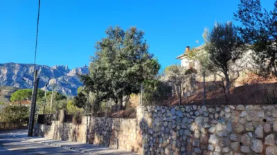 House on Carrer dels Manyans photo 17