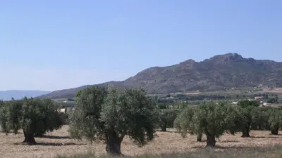 Terreno en venta en Rincón del Moro - Vista 2