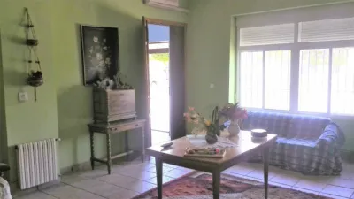 Miniatura 10