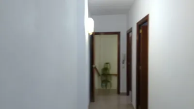 Miniatura 12
