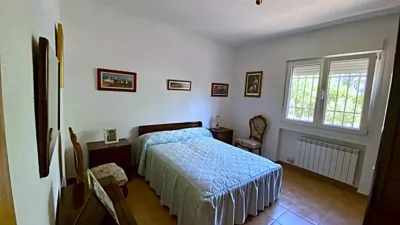 Miniatura 10