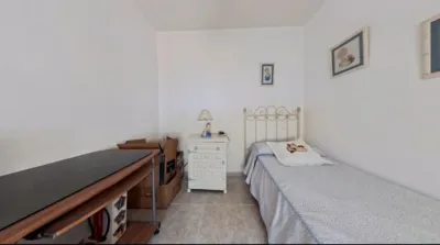 Miniatura 12